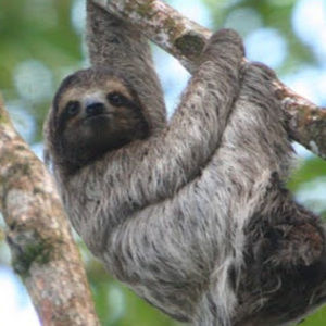 Meet your Posher, Katelyn